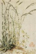 unknow artist, Grasses